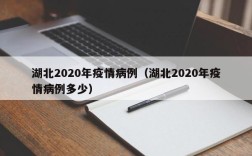 湖北2020年疫情病例（湖北2020年疫情病例多少）
