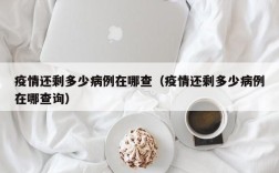 疫情还剩多少病例在哪查（疫情还剩多少病例在哪查询）