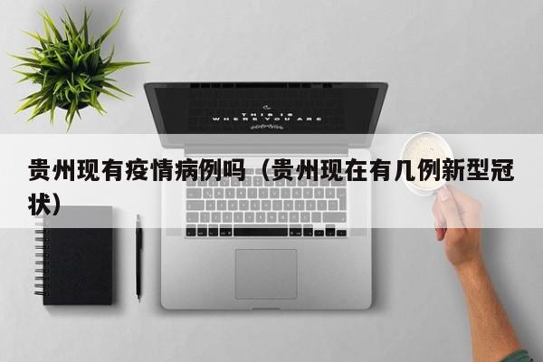 贵州现有疫情病例吗（贵州现在有几例新型冠状）-图1