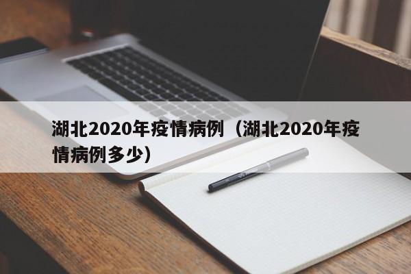 湖北2020年疫情病例（湖北2020年疫情病例多少）-图1